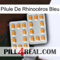 Pilule De Rhinocéros Bleu cialis4
